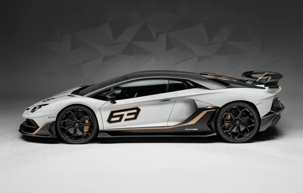 Lamborghini, суперкар, вид сбоку, 2018, Aventador, Aventador SVJ, SVJ 63