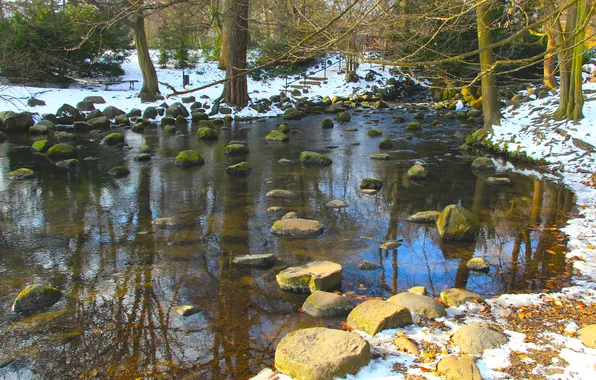 River, water, park, stones