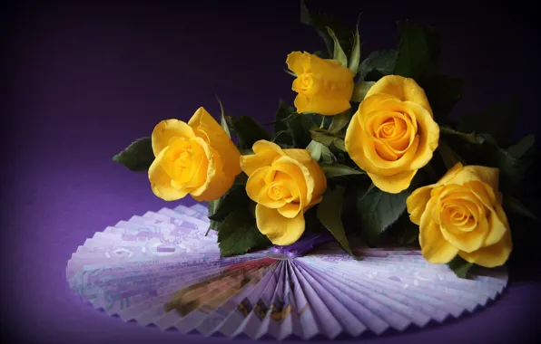 Картинка розы, веер, жёлтые, фиолетовый фон