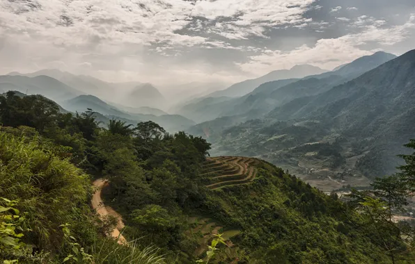 Картинка лес, горы, туман, долина, Вьетнам