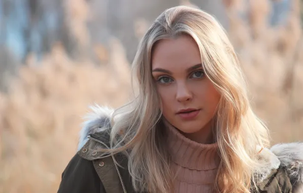 Картинка взгляд, лицо, фон, волосы, красавица, Erika