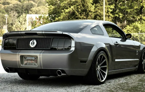 Mustang, Ford, Shelby, GT500, our days