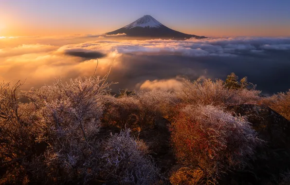Japan, Fujikawaguchiko-machi, Yamanashi