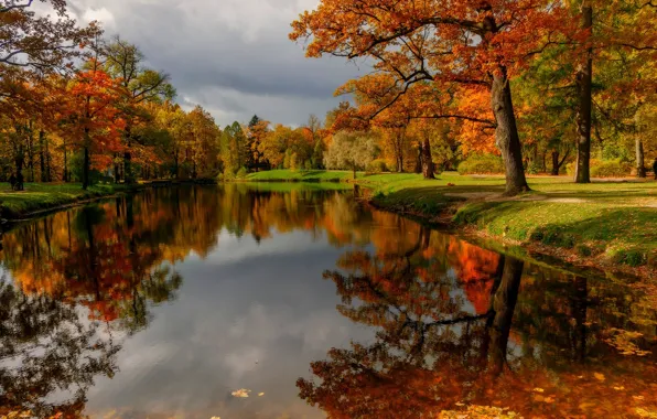 Картинка осень, лес, небо, листья, вода, облака, деревья, горы