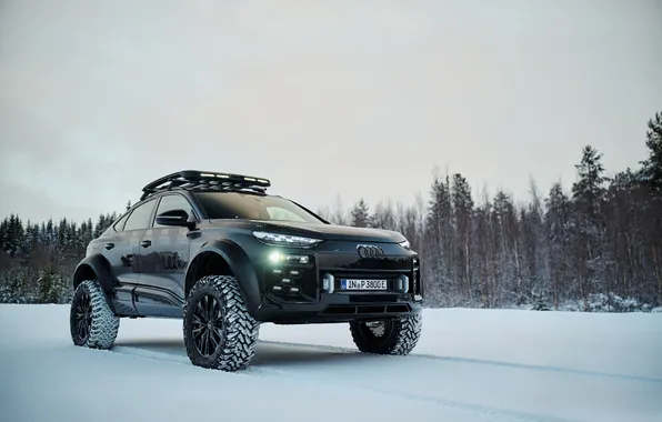 Concept, внедорожник, e-tron, offroad, SUV, 2025, Audi Q6 e-tron offroad concept, Audi Q6