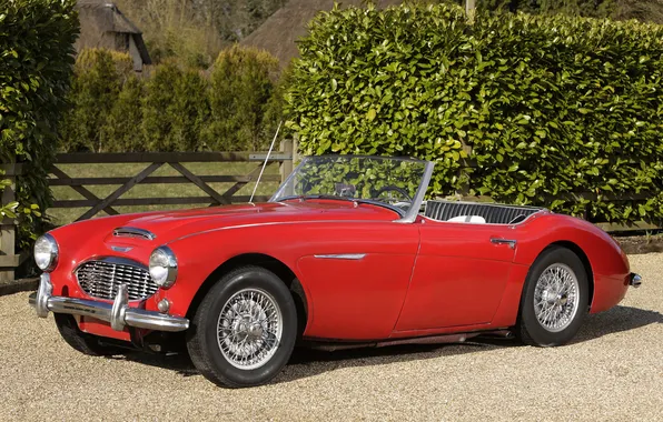 Картинка авто, красный, кабриолет, классика, 1956, Austin Healey, 100-6