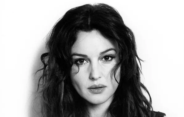 Взгляд, модель, портрет, актриса, брюнетка, прическа, Monica Bellucci, Моника Беллуччи
