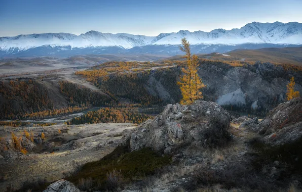 Осень, лес, горы, камни, скалы, холмы, вершины, деревце