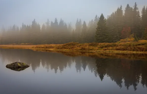 Осень, лес, небо, вода, туман, озеро, отражение, берег