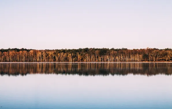 Картинка лес, небо, деревья, пейзаж, природа, озеро, горизонт, отражения в воде