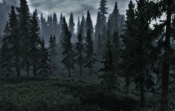 Лес, горы, ели, skyrim