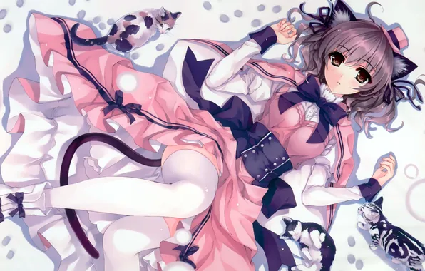 Картинка девушка, коты, чулки, шляпа, аниме, арт, ушки, misaki kurehito