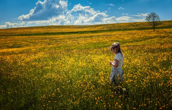 Картинка поле, цветы, Девочка