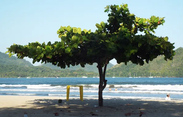 Brazil, Ubatuba, Estaleiro Beach