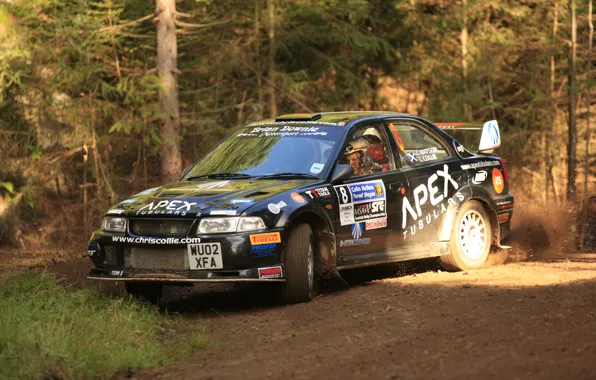 Лес, поворот, грязь, mitsubishi, rally, evolution, evo VI