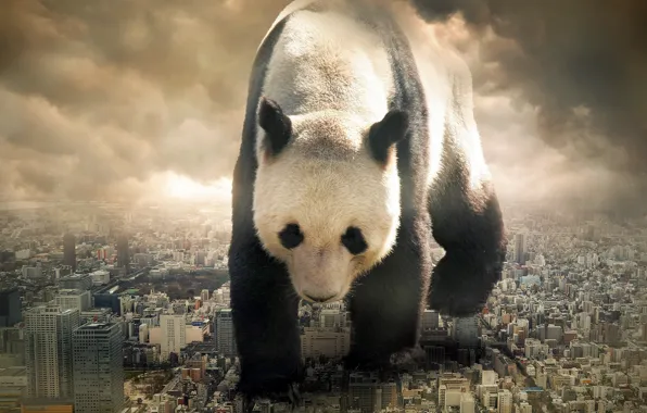 Картинка город, ситуация, панда