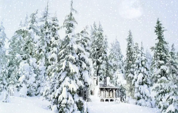 Снег, дом, елки, Зима