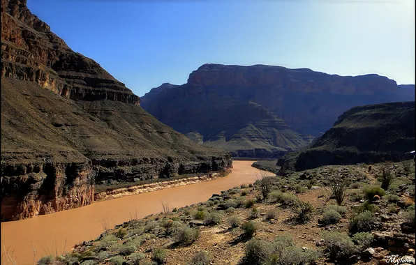 Картинка река, пустыня, каньон