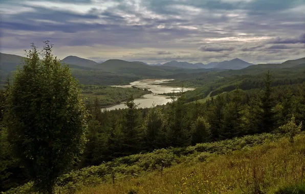 Картинка лес, горы, тучи, река, дерево, Шотландия