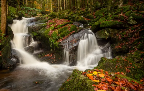 Картинка осень, лес, листья, камни, Франция, водопад, мох, речка