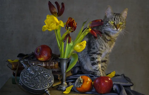 Картинка кот, цветы, животное, яблоки, тюльпаны, ткань, фрукты, натюрморт