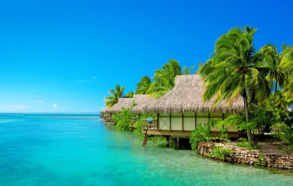Картинка море, пляж, небо, пальмы, ветер, Мальдивы, курорт, бунгало