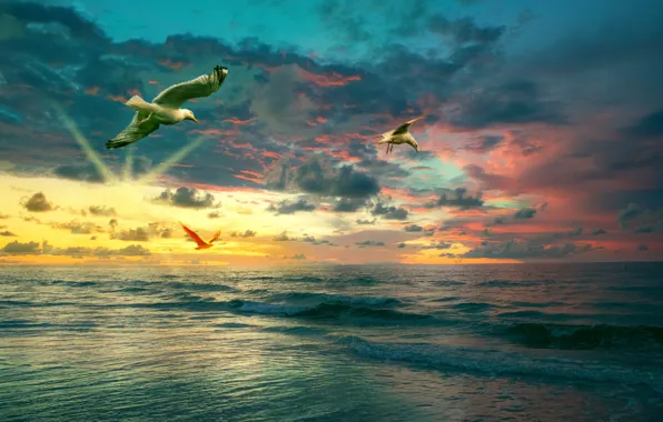 Картинка море, закат, тучи, чайки