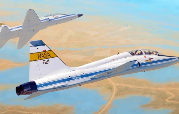 Рисунок, арт, NASA, Northrop, Talon, T-38C