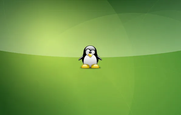 Green, linux, Tux