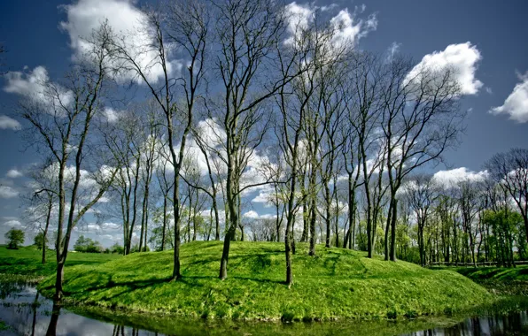 Картинка деревья, река, ручей, холмы, остров