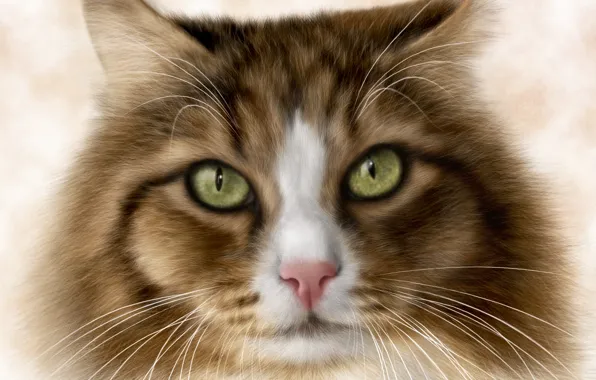 Картинка кошка, глаза, кот, рендеринг, фон, кошак