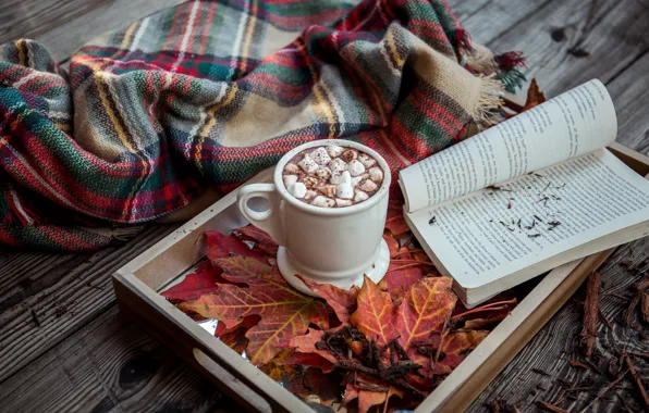 Картинка wood, background, autumn, leaves, book, cocoa, tray, blanket