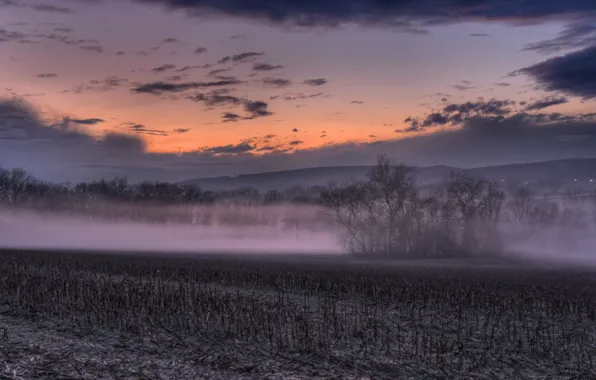 Картинка поле, закат, туман
