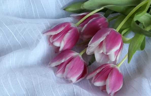 Тюльпаны, ткань, розовые, бутоны