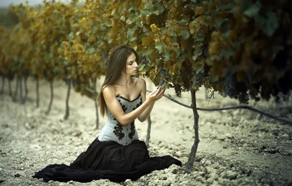 Картинка девушка, природа, виноград