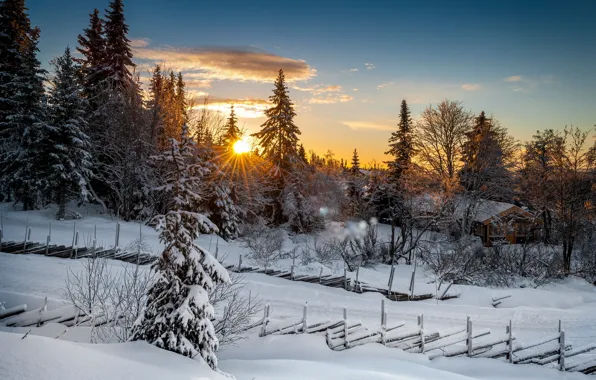 Зима, лес, закат, Норвегия, Norway, Лиллехаммер, Lillehammer