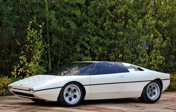 Lamborghini, Car, Sports, White