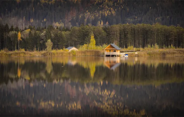 Картинка осень, лес, вода, горы, природа, уют, озеро, отражение