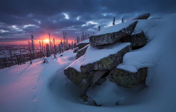 Картинка зима, лес, солнце, снег, деревья, закат, природа, камни