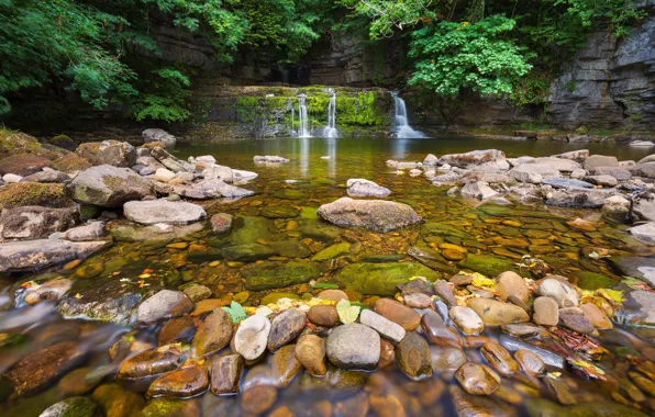 Лес, скалы, берег, водопад, поток