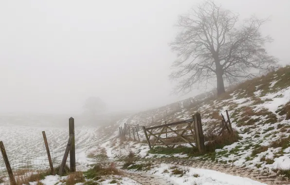Картинка зима, туман, забор