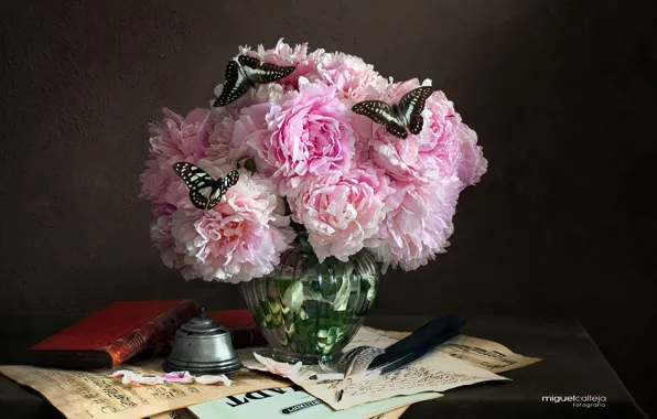 Бабочки, перо, книги, букет, поины