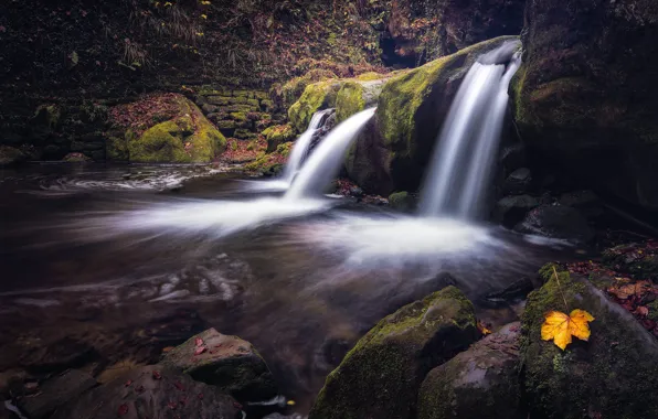 Желтый, камни, скалы, берег, листок, водопад, поток, водопады