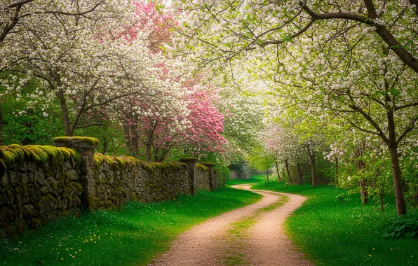 Дорога, деревья, стена, весна, арт, wallpaper, wall, road