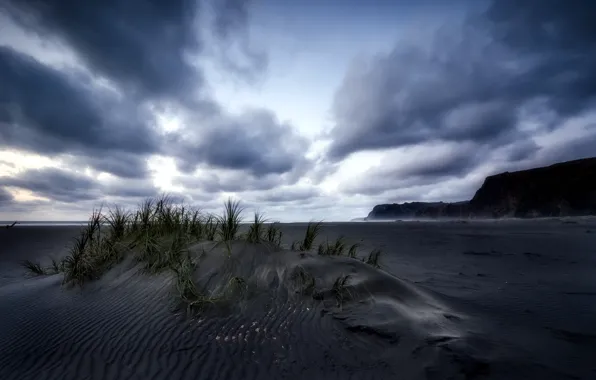 Картинка New Zealand, Last Light, Karekare Beach, Black Sand
