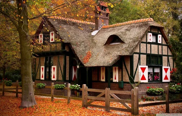 House, nature, beautiful