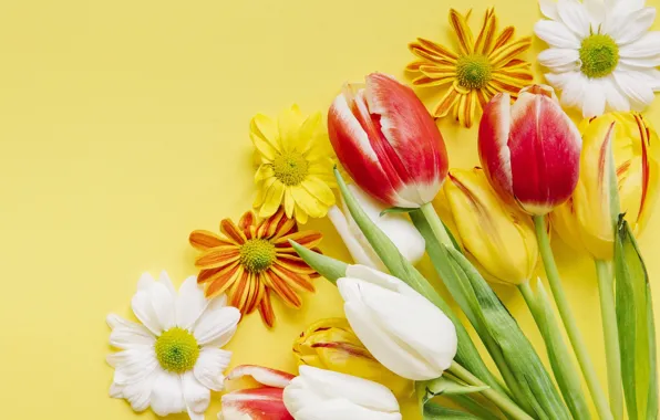 Картинка цветы, весна, colorful, Пасха, тюльпаны, wood, flowers, tulips