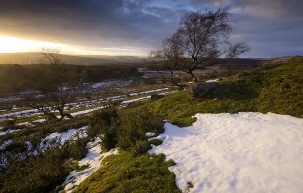 Поле, пейзаж, закат