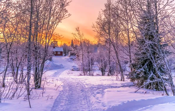 Картинка зима, лес, снег, закат, дом