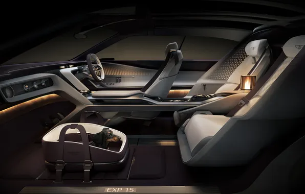Concept, Bentley, концепт-кар, роскошь, люкс, luxury, электромобиль, electric car